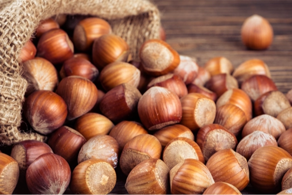 TMO'dan 'kabuklu fındık' a&ccedil;ıklaması: Satışımız ve hazırlığımız bulunmamaktadır