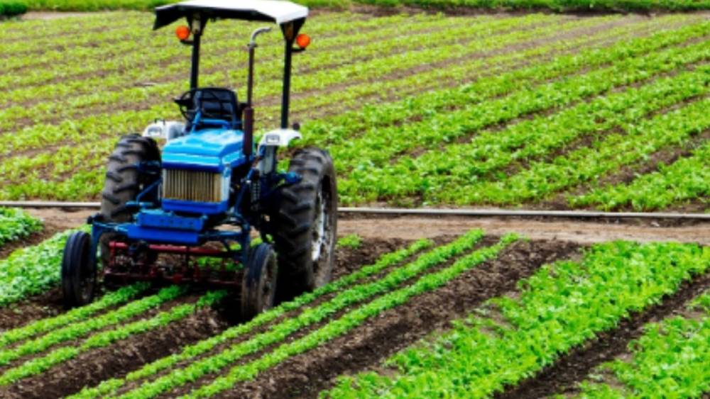 Tarım sigortalarında kapsam genişletildi, devlet desteği artırıldı 