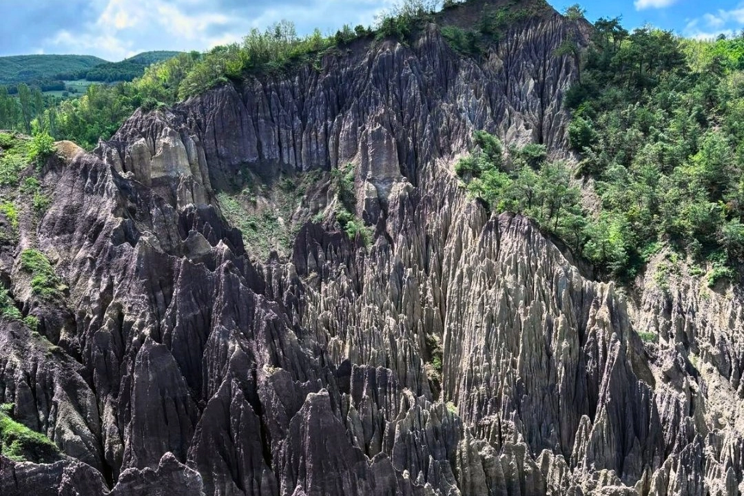 Korunan alan sayısı 692'ye y&uuml;kseldi