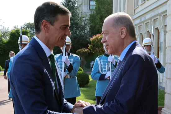 Erdoğan, İspanya Başbakanı S&aacute;nchez ile g&ouml;r&uuml;şt&uuml;