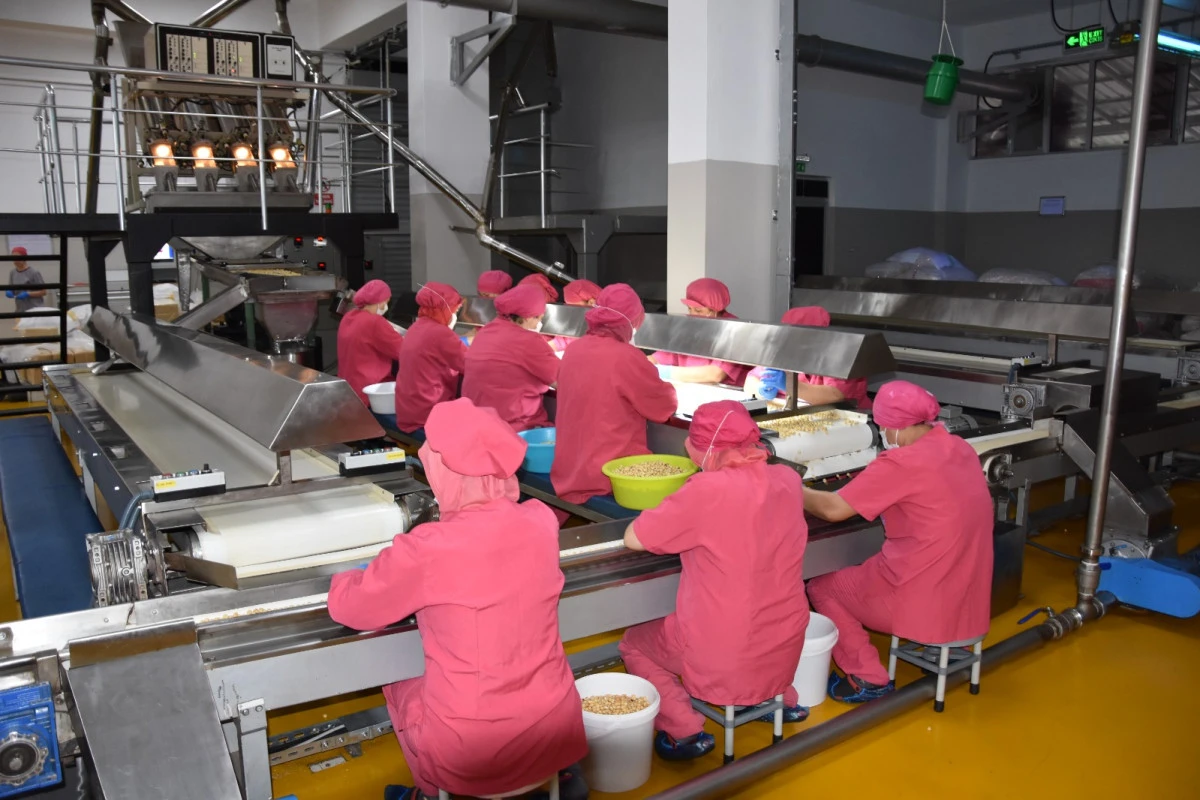 223 Projeye 176,7 Milyon TL Hibe Desteği