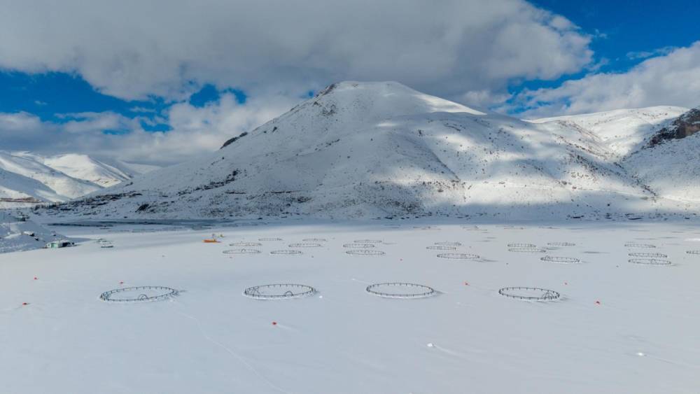 &Ccedil;elikhan&rsquo;daki Y&uuml;zen Adalar buz tuttu  - Videolu Haber