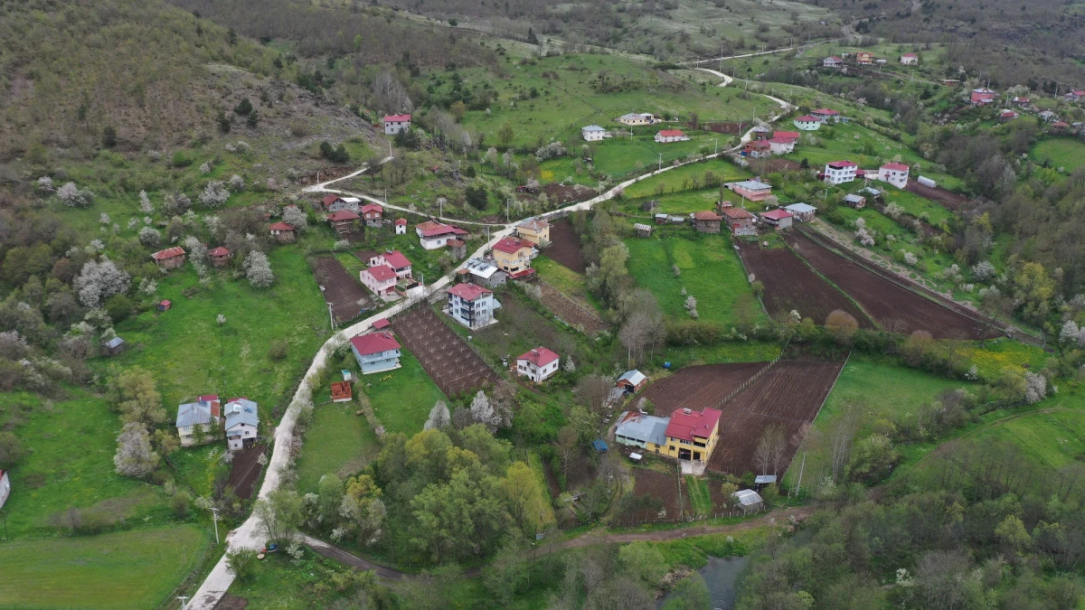 AKKUŞ&rsquo;TA ULAŞIMI RAHATLATAN YOL HAMLESİ