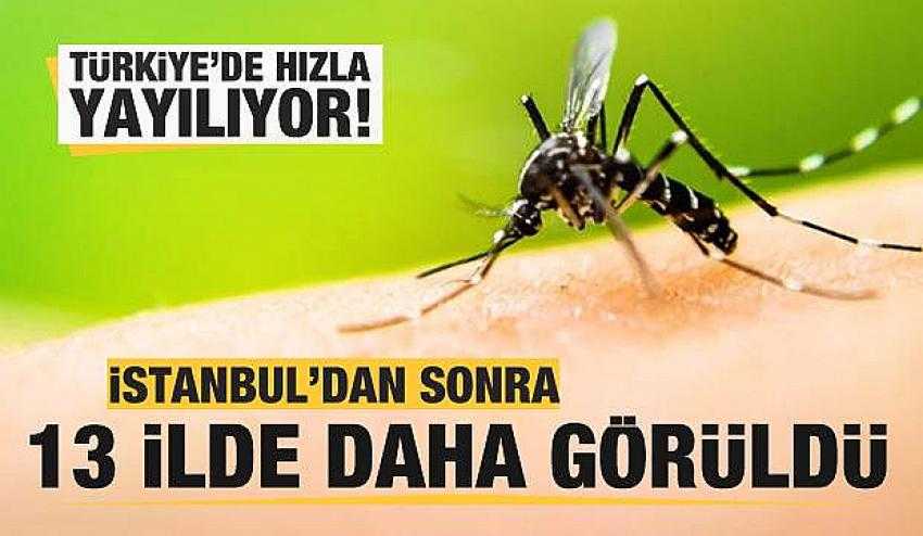 Ordu'da da g&ouml;r&uuml;ld&uuml; 