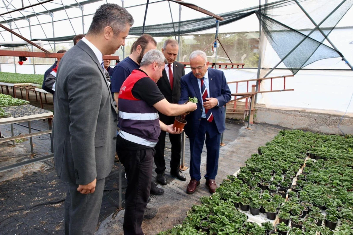BAŞKAN G&Uuml;LER: &ldquo;&Uuml;RETTİĞİMİZ FİDELERLE HALKIMIZIN EKONOMİSİNE KATKIDA BULUNUYORUZ&rdquo; 