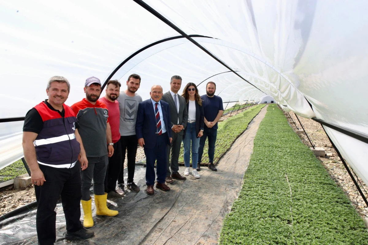 B&Uuml;Y&Uuml;KŞEHİR SERALARINDA &Uuml;RETİLEN &Ccedil;İ&Ccedil;EKLER ŞEHRE RENK KATIYOR