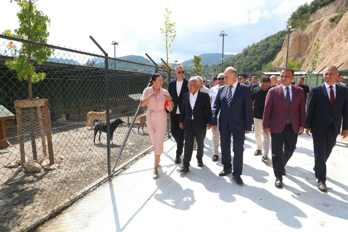 Fatsa&rsquo;ya Modern Doğal Yaşam Alanı