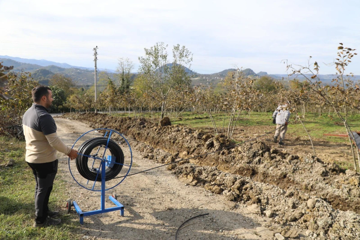 FINVER’DE DAMLAMA SULAMA DÖNEMİ