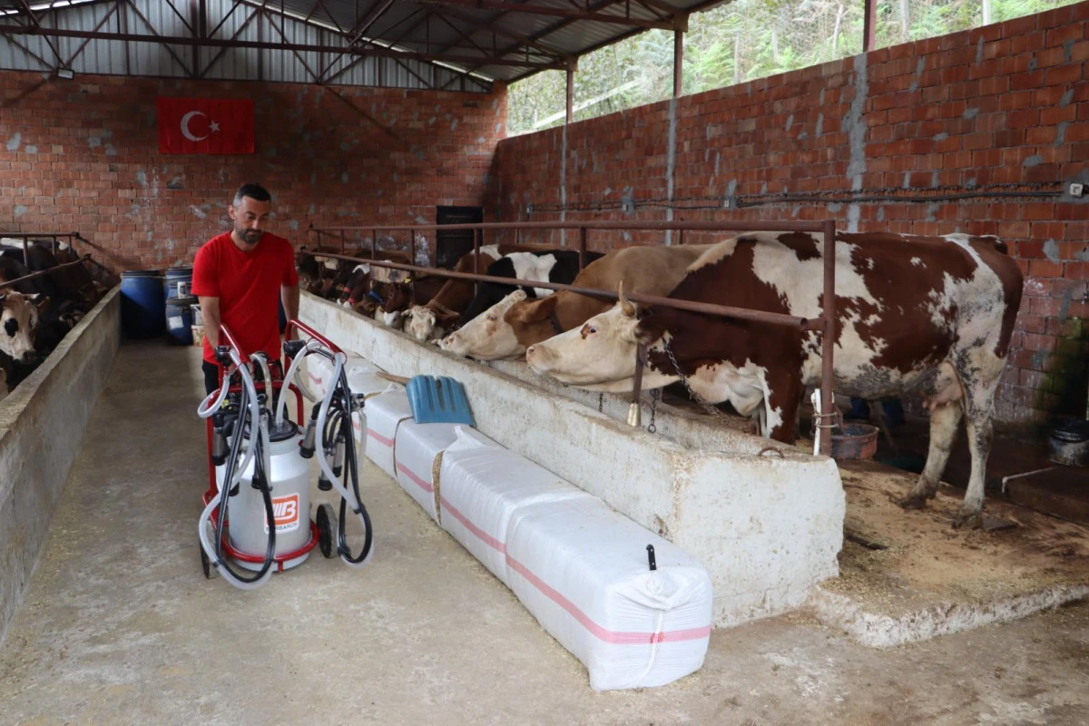 SÜTÜN DEĞERİ ARTIYOR, ÜRETİCİNİN YÜZÜ GÜLÜYOR 