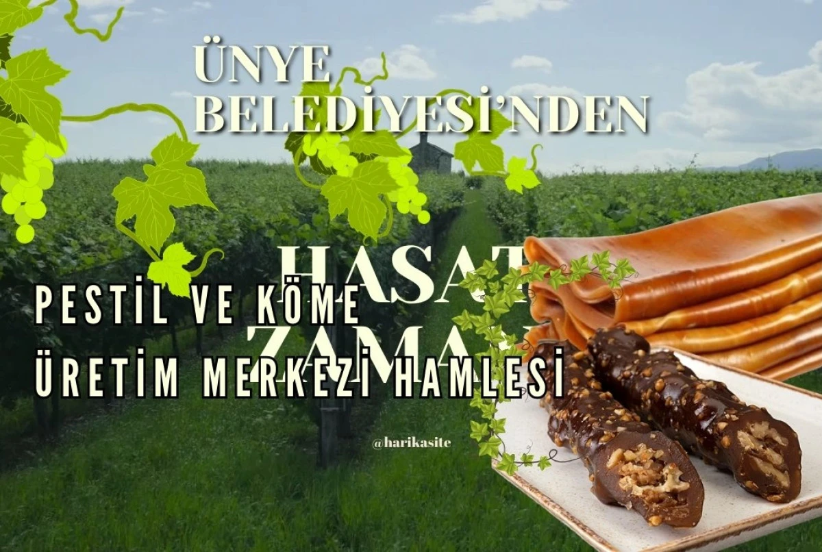 &Uuml;NYE BELEDİYESİ&rsquo;NDEN PESTİL VE K&Ouml;ME &Uuml;RETİM MERKEZİ HAMLESİ
