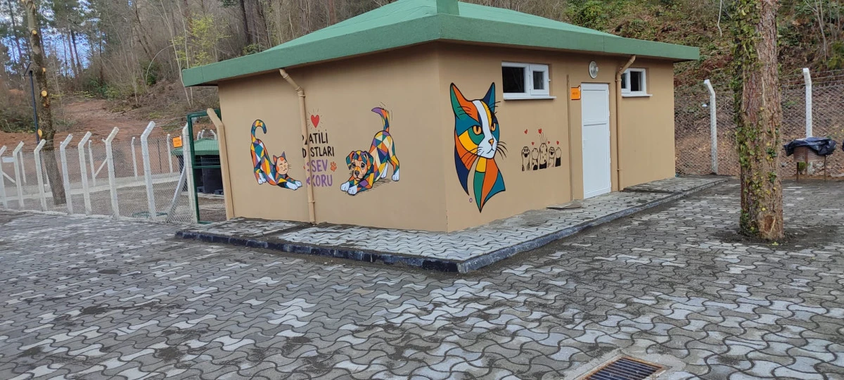 &Uuml;nye&rsquo;de &Ouml;rnek Barınak ve Doğal Yaşam Alanı Tamamlanma Aşamasına Geldi