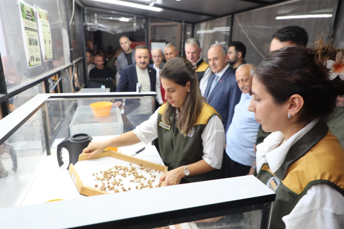 Vali Erol, TMO Fındık Alım Merkezi&rsquo;ni Ziyaret Etti 